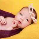 夏枫的个人资料头像