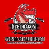喜悦冰龙头像