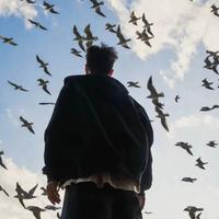 用户7045274945328头像