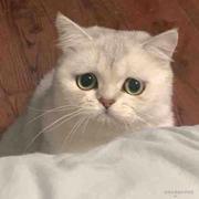 工作就想睡觉的个人资料头像