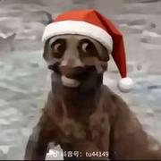 ZJJY的个人资料头像