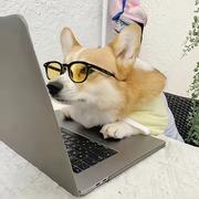 希伯来技术的个人资料头像