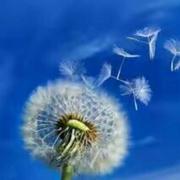 遥望星KONG的个人资料头像