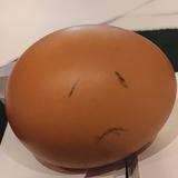 铅笔276673826头像