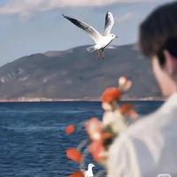 许我一笔墨691头像