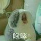 行乐871头像