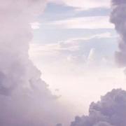 凉风有信178的个人资料头像