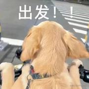 时瑾苏磐的个人资料头像