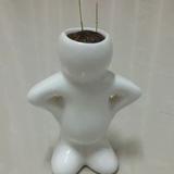 用户5384906936268头像