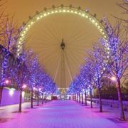 木木夕815的个人资料头像