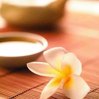 珍珍薯片90993438头像