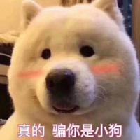 夏天开车看美女头像