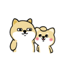 陈梁的个人资料头像