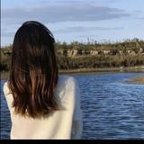 不见过的花海优雅头像