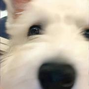 用户39468770288的个人资料头像