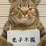 LJ车捷途X70车主头像