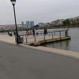 小仙下凡头像