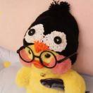 代码初学者001的个人资料头像