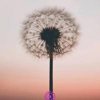 用户3579333542162头像