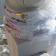 春鸣的个人资料头像