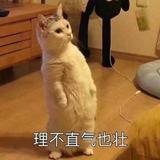 泡面不用酱包头像