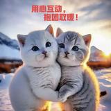 北予孤舟头像