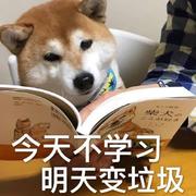 ddd112的个人资料头像