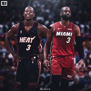 狐狸的个人资料头像