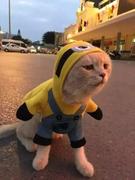 T___T的个人资料头像