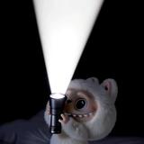 汽车搬运工777头像