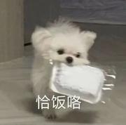 睡到自然醒1的个人资料头像