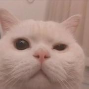 阿古827的个人资料头像