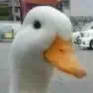 用户1758859054811630头像