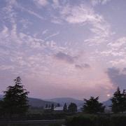 wzq_alone的个人资料头像