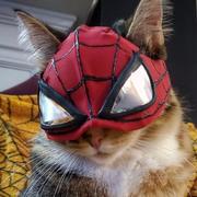 卢纸船的个人资料头像