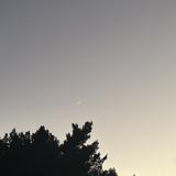 想买一辆迈巴赫头像