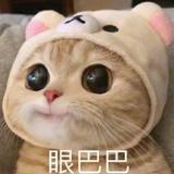 为了20亿头像