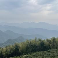 邦虾卡拉卡头像