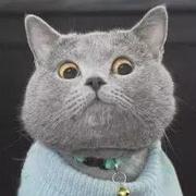 Colorssk的个人资料头像