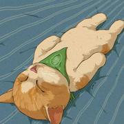 Hadoop3x的个人资料头像