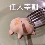 小白_up的个人资料头像
