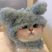 a恩的个人资料头像