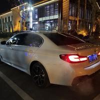 西伯利亚巨蟒头像