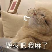 用户8618352458265的个人资料头像