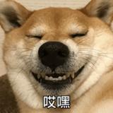 用户7706406399580头像