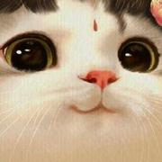 情谊的个人资料头像