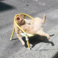 胡来爱户外头像