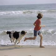 全栈修炼日记的个人资料头像