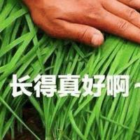 机电钢铁直男头像