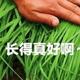 机电钢铁直男 · 领克08 EM-P车主·车龄半年头像